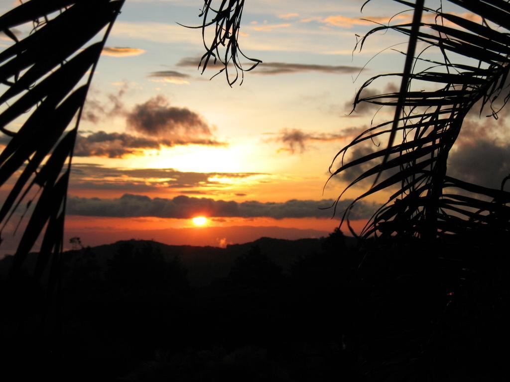 Sunset Hotel Monteverde Værelse billede