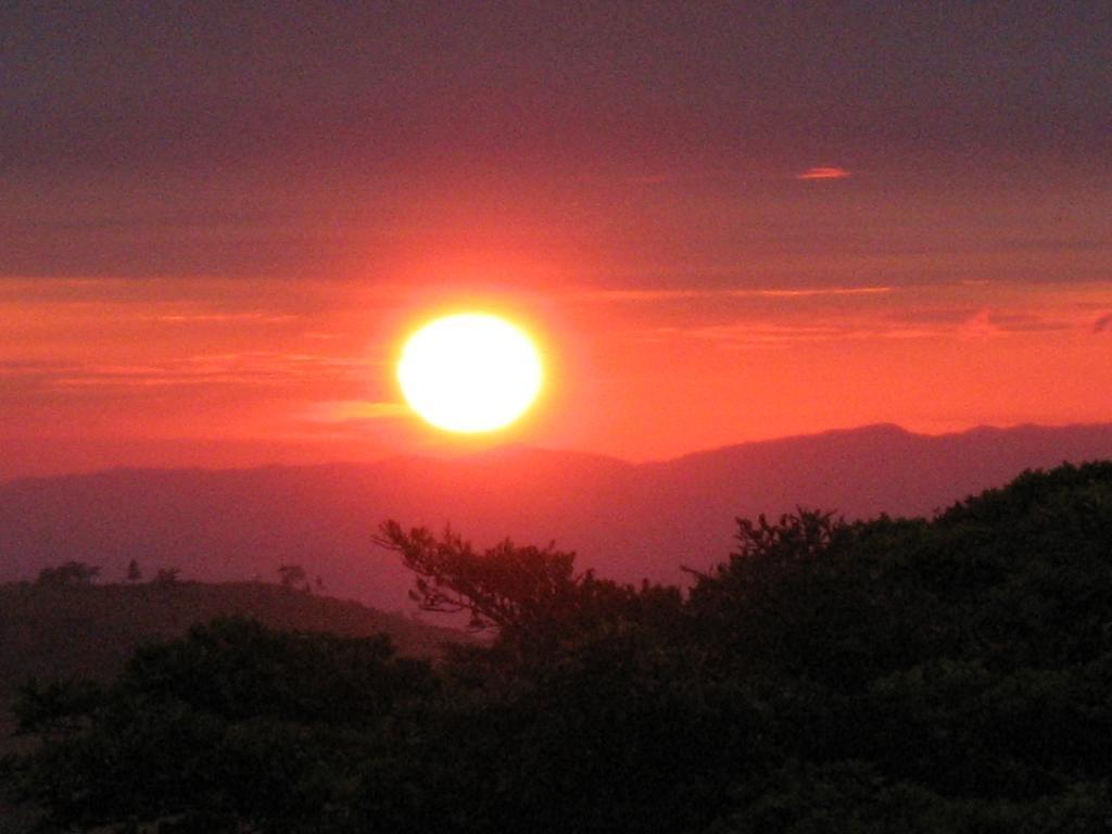 Sunset Hotel Monteverde Værelse billede